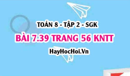 Bài 7.39 trang 56 Toán 8 Tập 2 Kết nối tri thức